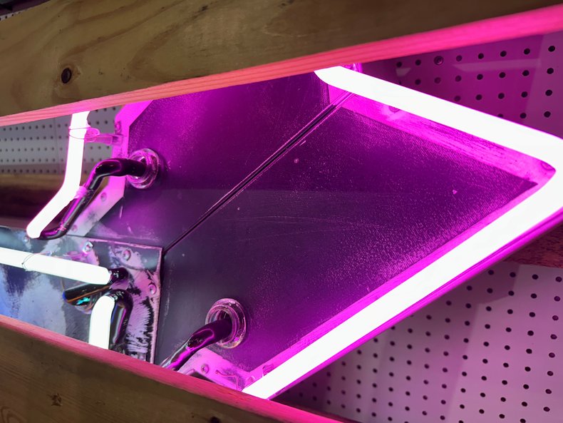 Neon Champion Spark Plug Sign